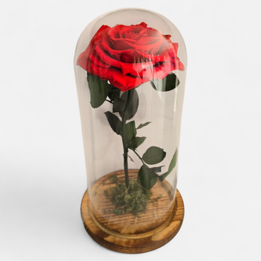 15. Enchanted Rose (recogido en tienda)